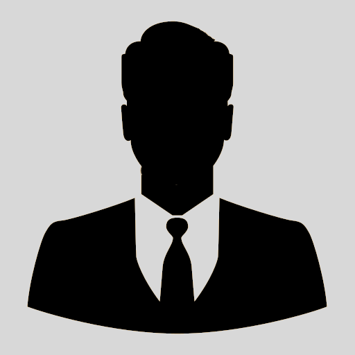 Logo developper